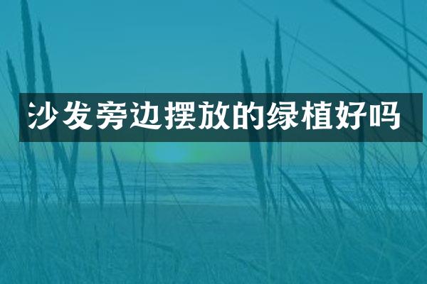 沙发旁边摆放的绿植好吗