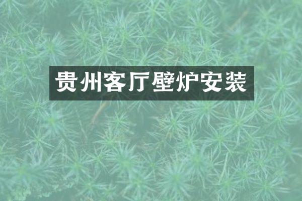 贵州客厅壁炉安装
