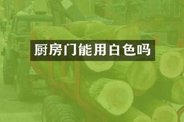 厨房门能用白色吗