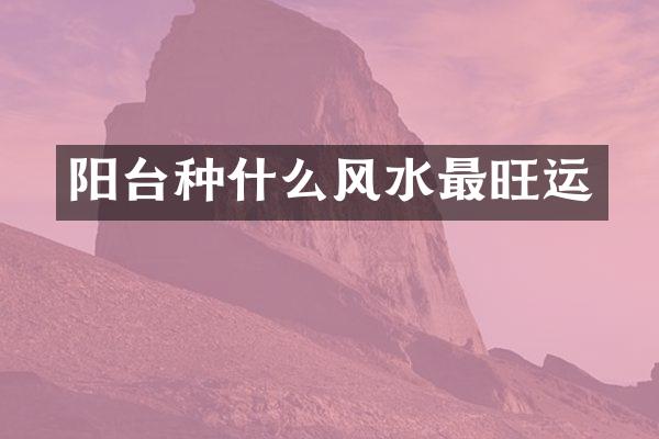 阳台种什么风水最旺运