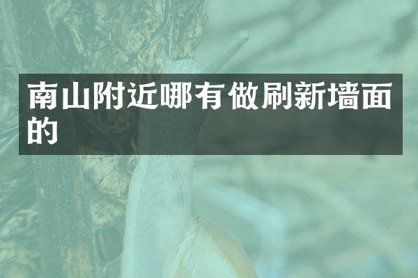 南山附近哪有做刷新墙面的