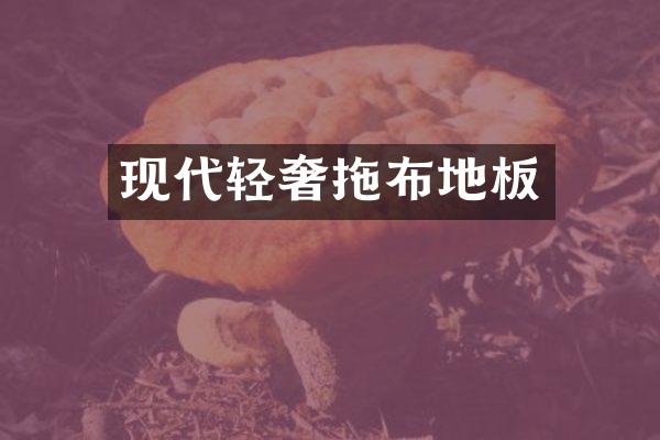现代轻奢拖布地板