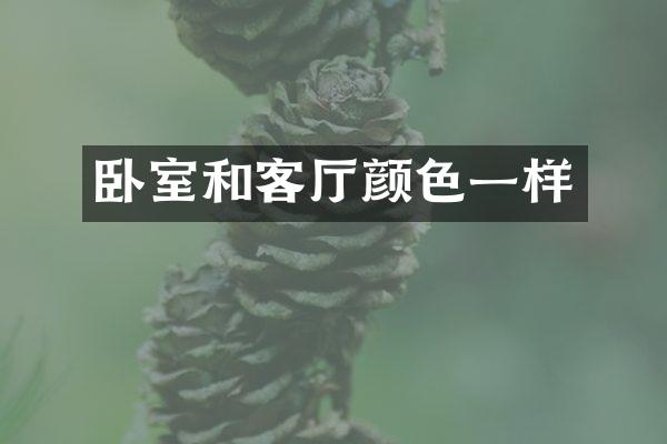 卧室和客厅颜色一样