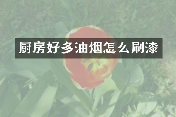 厨房好多油烟怎么刷漆