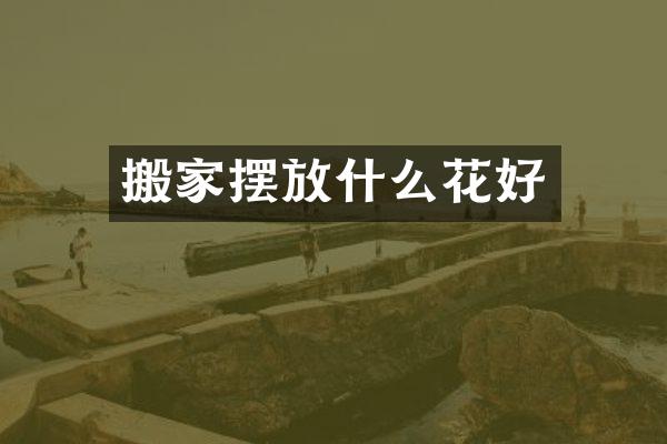 搬家摆放什么花好