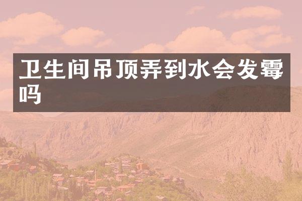 卫生间吊顶弄到水会发霉吗