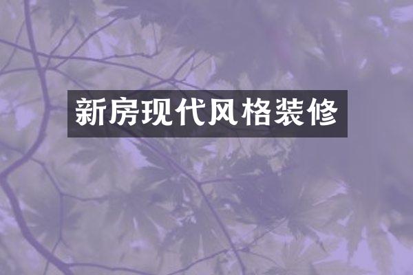 新房现代风格装修