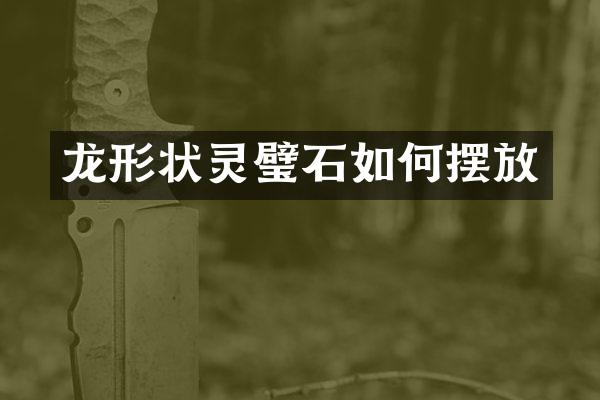 龙形状灵璧石如何摆放