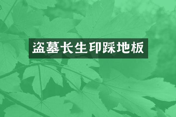 盗墓长生印踩地板