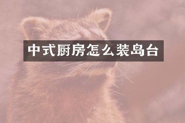 中式厨房怎么装岛台