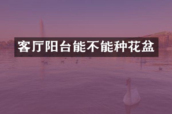 客厅阳台能不能种花盆