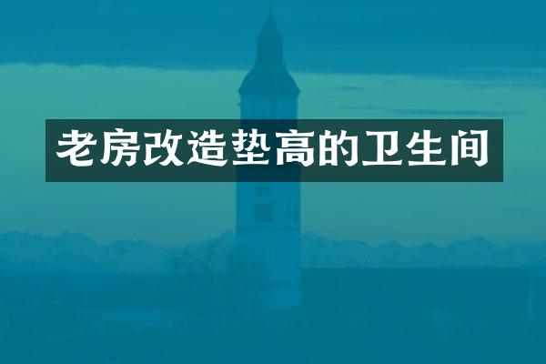 老房改造垫高的卫生间