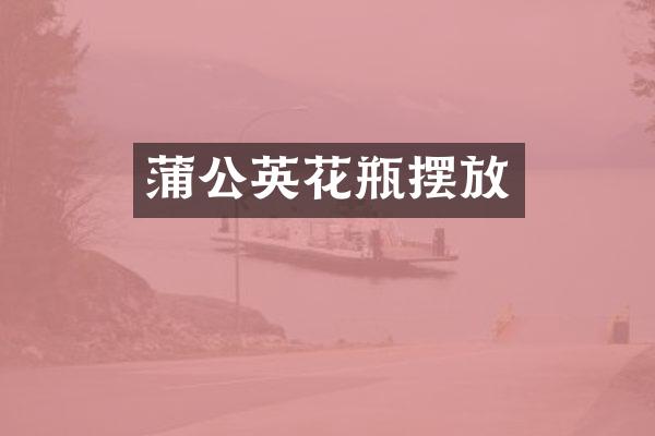 蒲公英花瓶摆放