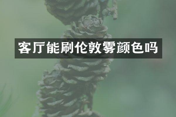 客厅能刷伦敦雾颜色吗