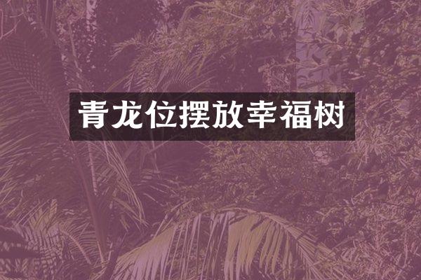 青龙位摆放幸福树