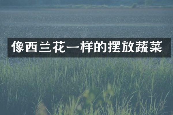 像西兰花一样的摆放蔬菜