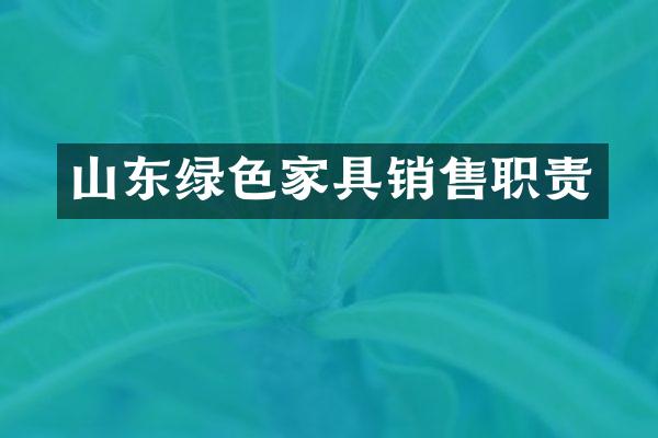 山东绿色家具销售职责