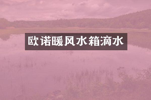 欧诺暖风水箱滴水