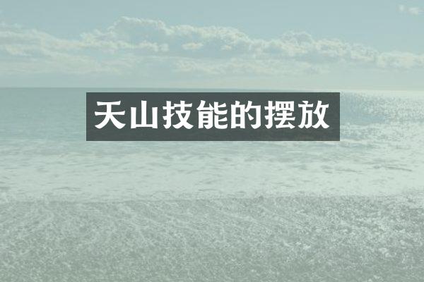 天山技能的摆放