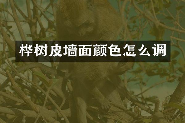 桦树皮墙面颜色怎么调