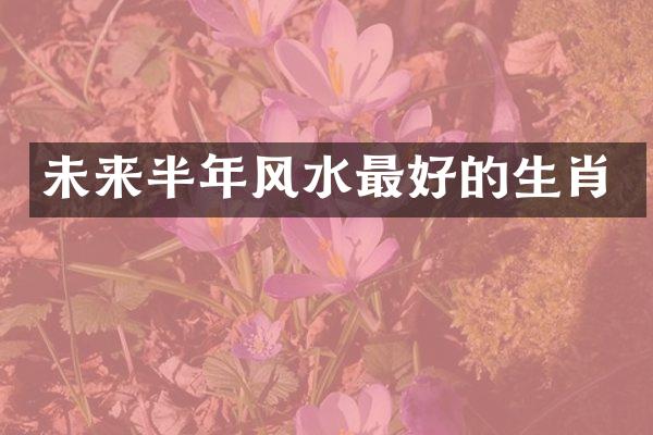 未来半年风水最好的生肖