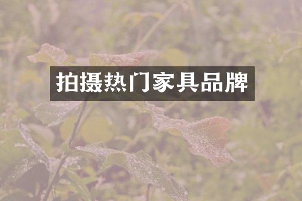 拍摄热门家具品牌
