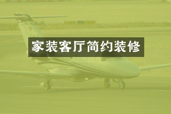 家装客厅简约装修