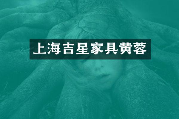 上海吉星家具黄蓉