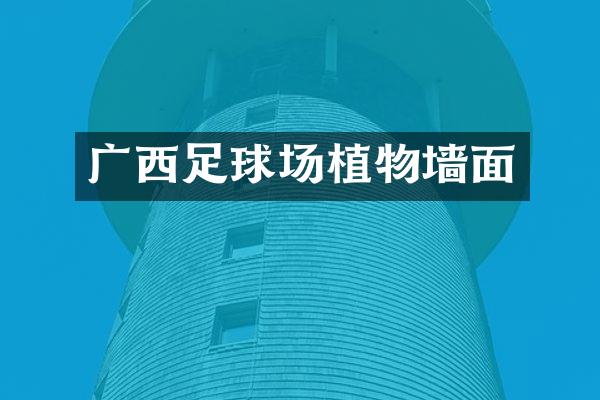 广西足球场植物墙面