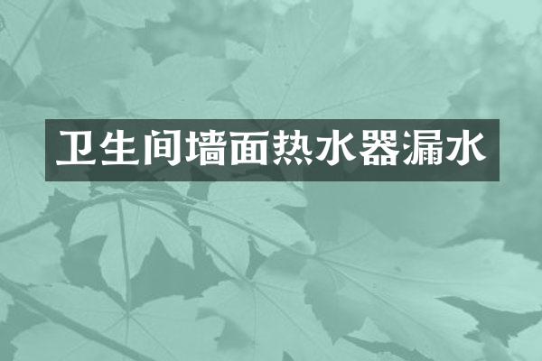 卫生间墙面热水器漏水