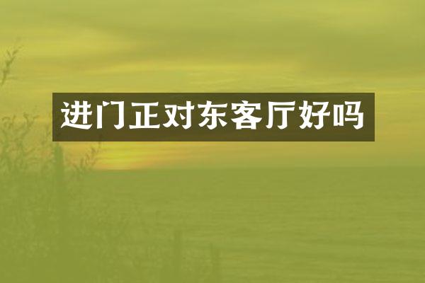 进门正对东客厅好吗