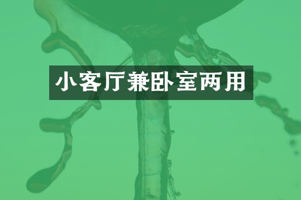 小客厅兼卧室两用