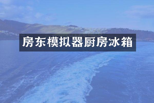 房东模拟器厨房冰箱