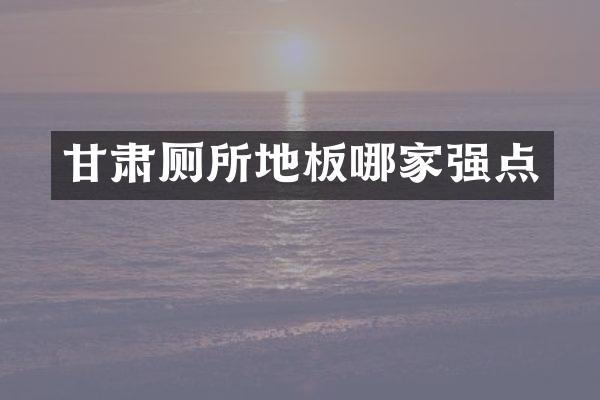 甘肃厕所地板哪家强点