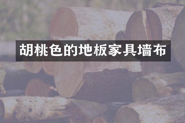 胡桃色的地板家具墙布