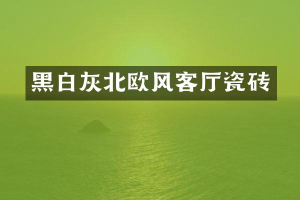 黑白灰北欧风客厅瓷砖