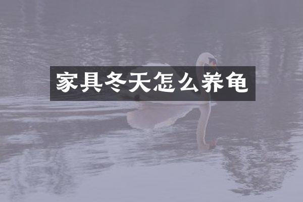 家具冬天怎么养龟