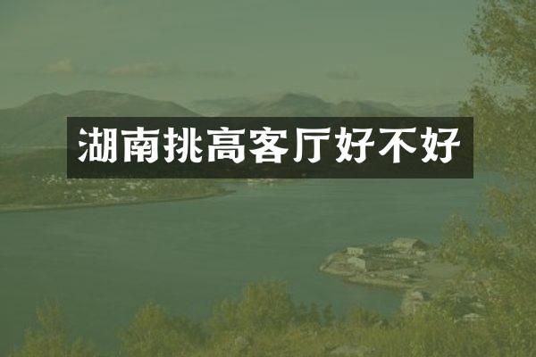 湖南挑高客厅好不好
