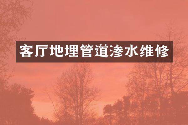 客厅地埋管道渗水维修