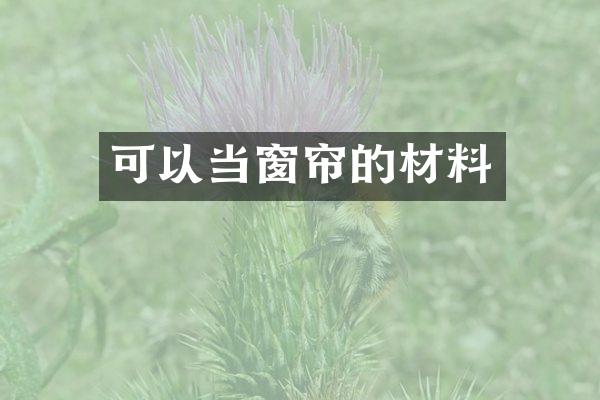 可以当窗帘的材料