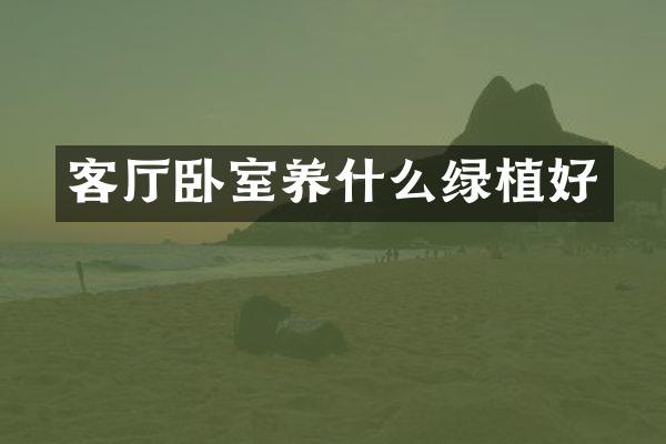 客厅卧室养什么绿植好