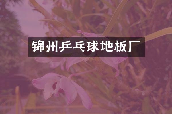 锦州乒乓球地板厂