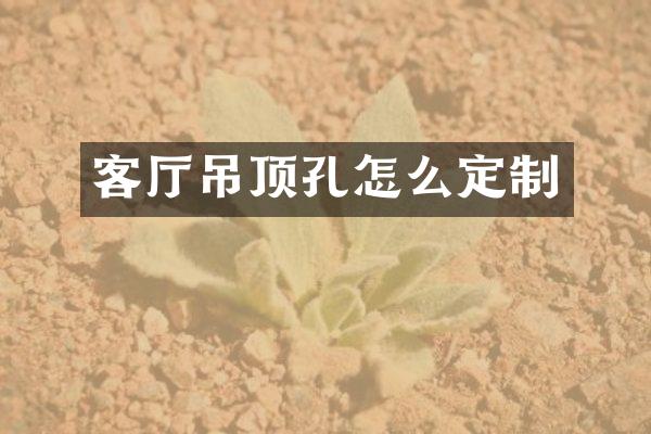客厅吊顶孔怎么定制