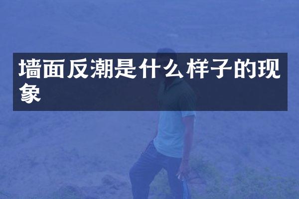 墙面反潮是什么样子的现象