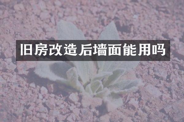 旧房改造后墙面能用吗