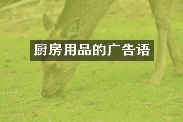 厨房用品的广告语