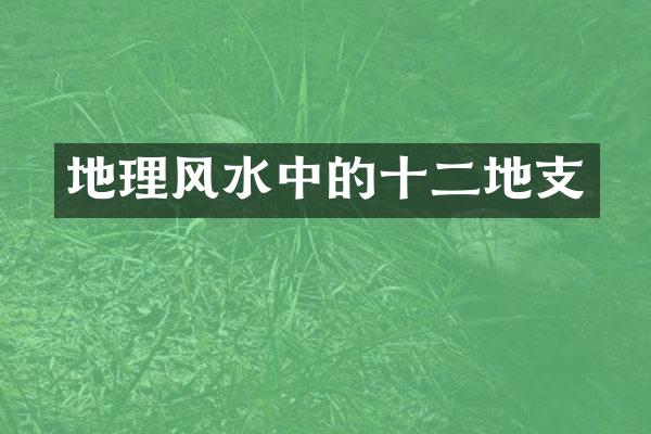地理风水中的十二地支