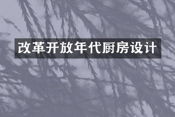 改革开放年代厨房设计