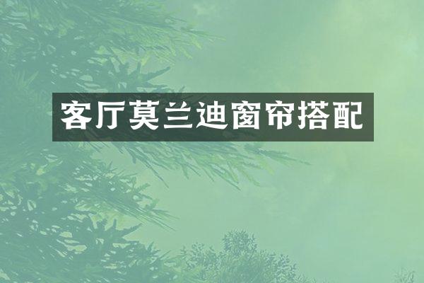 客厅莫兰迪窗帘搭配