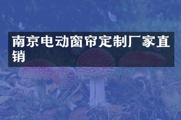 南京电动窗帘定制厂家直销